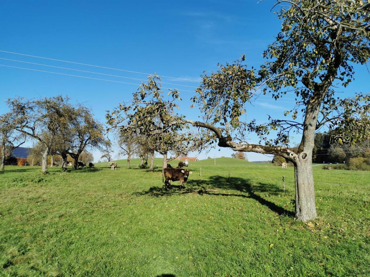 Ferienwohnung Nest Wangen im Allgäu Εξωτερικό φωτογραφία
